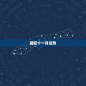 属蛇十一月运势，我属蛇，十一月十三生今年的运气怎么样