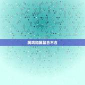 属鸡和属鼠合不合，属鼠和属兔的合不合