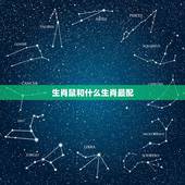 生肖鼠和什么生肖最配，1996年属鼠的人婚配