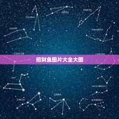 招财鱼图片大全大图，最好的招财鱼有几种，有图片吗