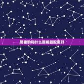 属猪的和什么属相最配更好，1993年属鸡的更佳配偶