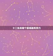十二生肖哪个属相最有势力，十二生肖里什么生肖最厉害？