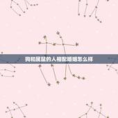 狗和属鼠的人相配婚姻怎么样，十二生肖属猪出生时辰与命运，属猪什么时辰出