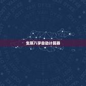 生辰八字自动计算器，生辰八字自动转换器