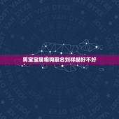 男宝宝属相狗取名刘祥赫好不好，宝宝属狗喜用神是金用宸字取名好吗
