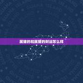 属猪的和属猪的财运怎么样，属猪财运算命财运分析