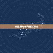 家里养乌龟有什么忌讳，养乌龟需要注意什么