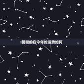 属猴的在今年的运势如何，属猴的今年运气怎么样
