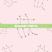 属鸡的和那个属相不合，属鸡配戴什么生肖最旺