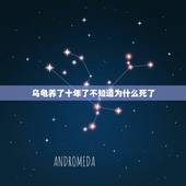 乌龟养了十年了不知道为什么死了，我们家养了十年的乌龟死了，伤心