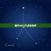 属牛2022几点出生好，属牛的哪天出生更好命