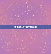 生肖和五行哪个婚配准，生肖的五行配对准确吗