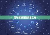 兔与蛇婚配结局怎么样，生肖：蛇能与兔婚配吗？如果婚配了又会幸福吗？