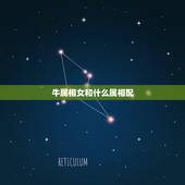牛属相女和什么属相配，属牛的，属相和哪个属相最配？
