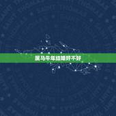 属马牛年结婚好不好，我是85年的属牛我对象是90属马的我俩像2014年