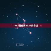 1987属兔男2021的命运，87年属兔34岁有一劫2021