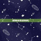 属狗的本周运势如何，属狗人今日运势