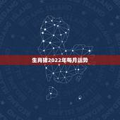 生肖猪2022年每月运势，2022年属猪人的全年运势