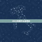 2022年属什么生肖年，2022 年备孕更佳月份