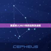属鼠的人2021年的运势及运程，2021年属鼠人的全年运势1984出生