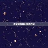 虎宝起名带山带木的字，有山有木的字有哪些