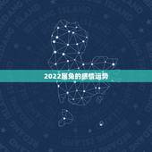2022属兔的感情运势，2021年生肖兔运势解析