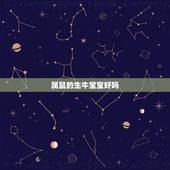 属鼠的生牛宝宝好吗，1984年属鼠2022 年生宝宝好吗
