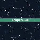 马的真命贵人2023年，八字里有真禄马贵人是什么意思