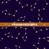 今年出生的小孩五行属什么，今天九点出生的孩子五行是什么