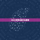 2022年初6是什么属相，2022年是什么年啊