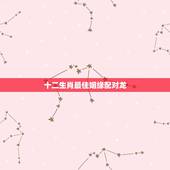 十二生肖最佳姻缘配对龙，在十二生肖中虎和龙有哪些可以相配的？