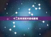 十二生肖龙配对最佳属相，龙与什么生肖配对是最好？