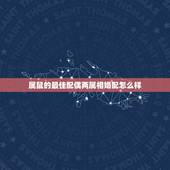 属鼠的最佳配偶两属相婚配怎么样，属鼠的女性最佳配偶应属啥