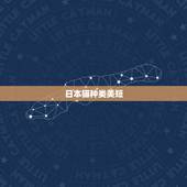 日本猫种类美短，美国短毛猫单c品种与cfa品种有什么区别？
