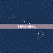 丁丑年五行属什么，癸酉年五行属什么