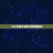 1997年属牛和属牛的婚姻配吗，92年男猴跟97女牛