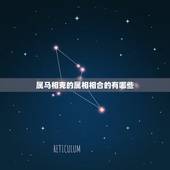 属马相克的属相相合的有哪些，马冲什么生肖