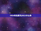 1954年生属马2022什么命，78年属马43有个劫