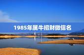 1985年属牛招财微信名，1985年属牛的招财数字