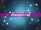 虎年鼠的运势2022运势，2022年鼠女壬子运程