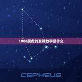 1986属虎的发财数字是什么，1986年5月13日属虎的人吉祥数字是什