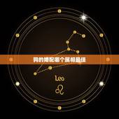 狗的婚配哪个属相最佳，属相婚配表：属狗的和什么属相最相配