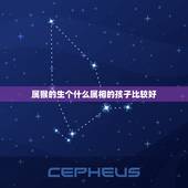 属猴的生个什么属相的孩子比较好，属猴和属猪的生个什么属相的宝宝好啊