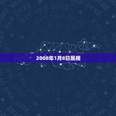 2008年1月8日属相，2008年1月8号出生的是什么星座？