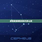 感情属相婚配龙和马怎么样，属龙的和属马的配吗？