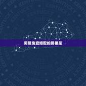 男属兔宜婚配的属相是，属兔的属相婚配表