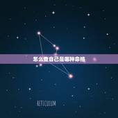 怎么查自己是哪种命格，如何知道自己是什么命格