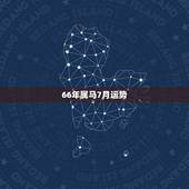 66年属马7月运势，66年属马人今年什么运气