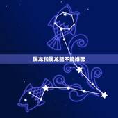 属龙和属龙能不能婚配，属龙和属龙的婚姻怎样