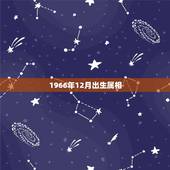 1966年12月出生属相，1966年12月出生的，属马的是什么星座